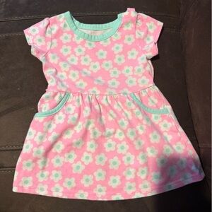 Healthtex Pink and Mint Floral Baby Dress